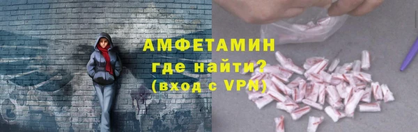 гидра Арсеньев