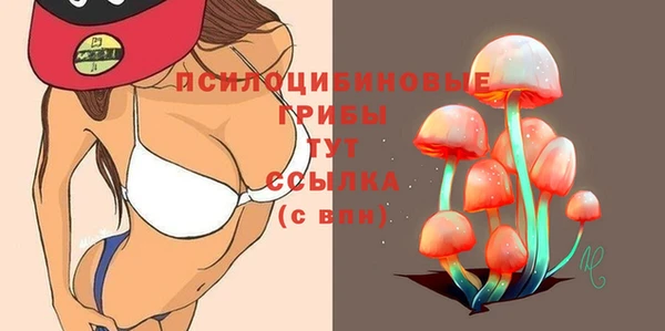 гидра Арсеньев