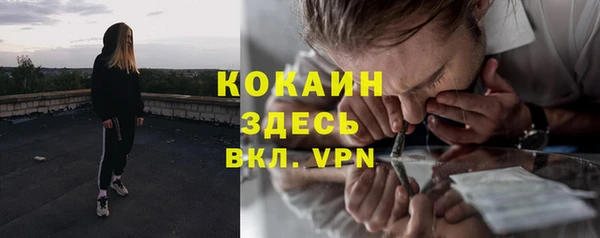 гидра Арсеньев