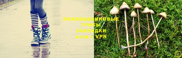 стафф Армянск